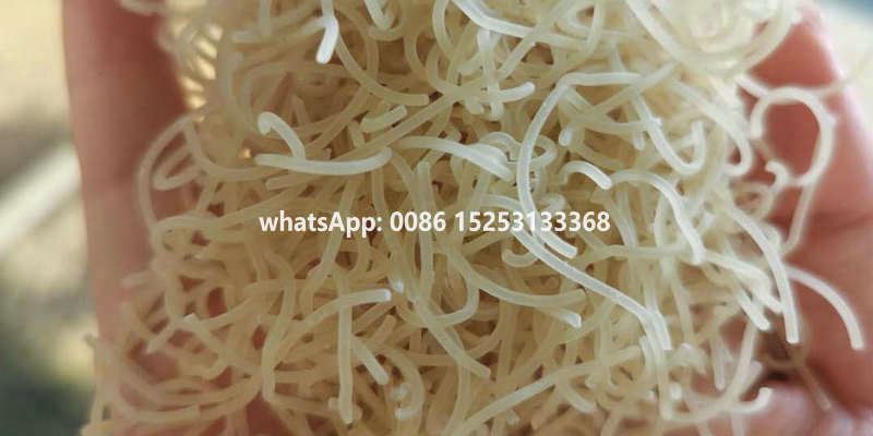 04_pasta 01